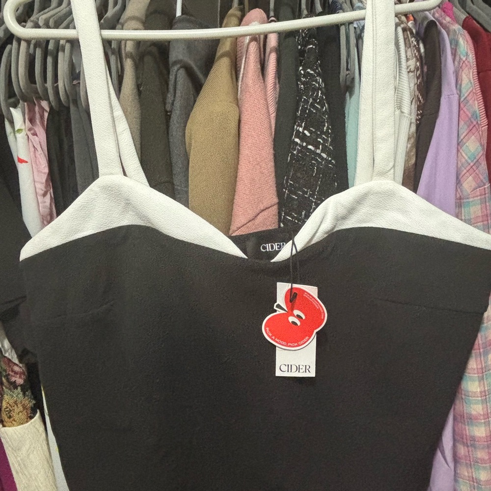Cider Black and White Bustier Camisole Top